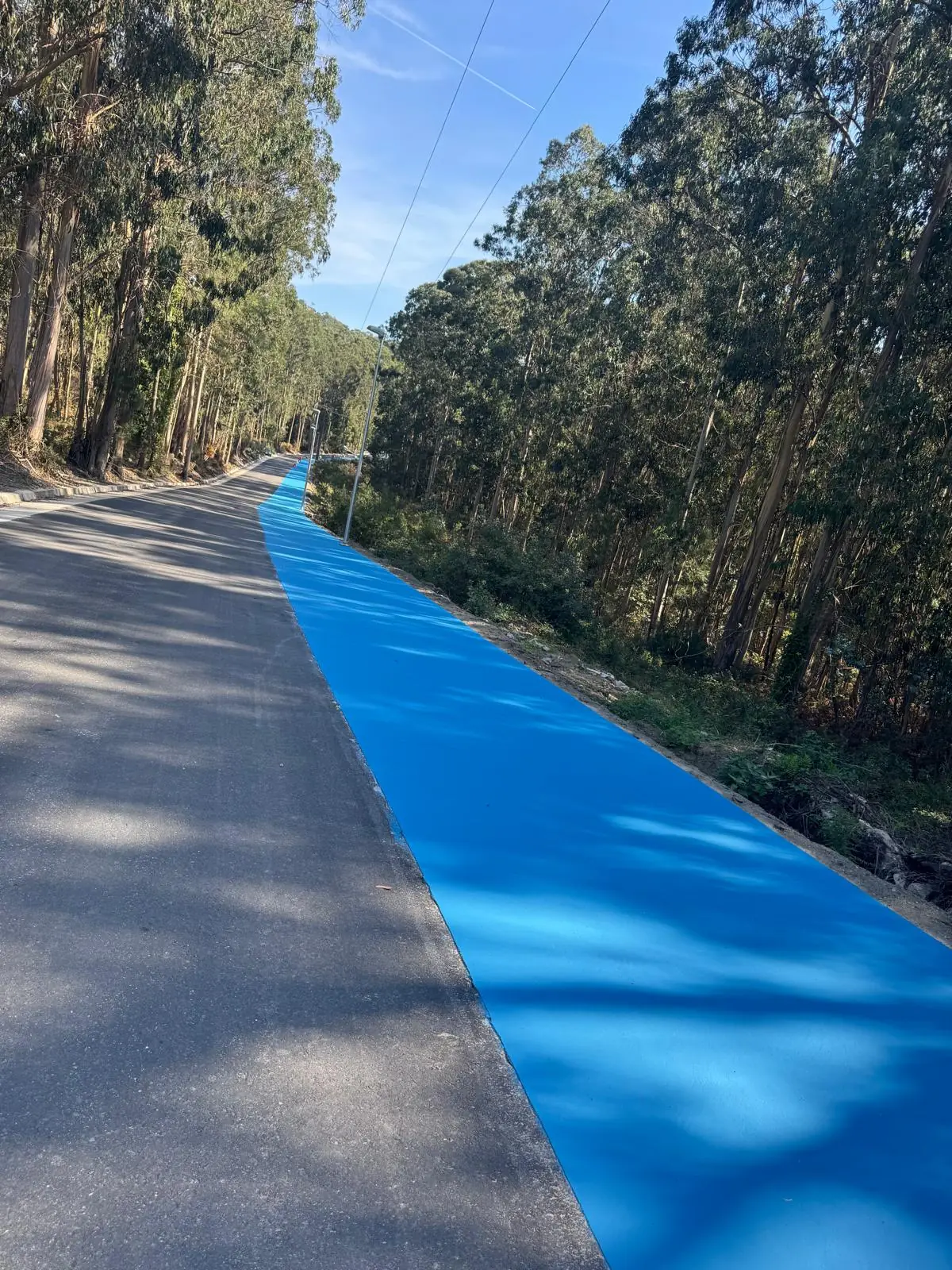 Pavimento de colores y señalización aplicados por Pavilalín